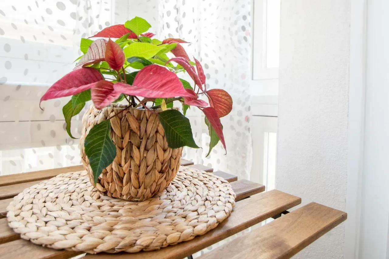Apartmán Apartamento Cadiz Compania Španělsko